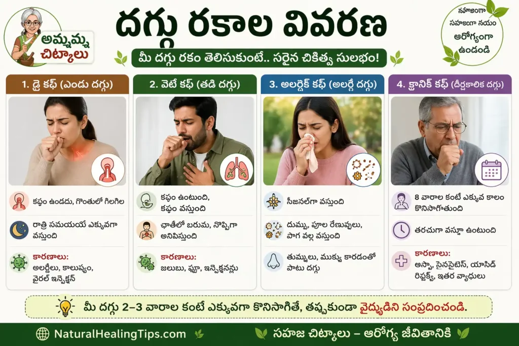దగ్గు రకాల వివరణ, dry cough, wet cough మరియు allergic cough మధ్య తేడాలను చూపించే ఇన్ఫోగ్రాఫిక్ చిత్రం