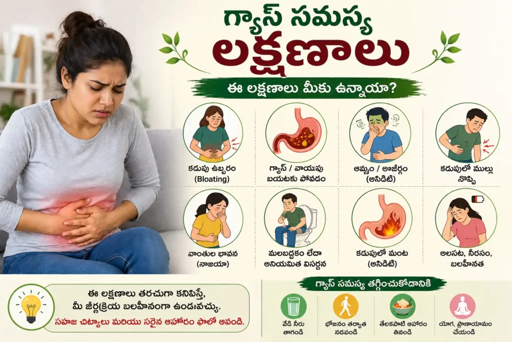 జీర్ణక్రియ ఎలా పనిచేస్తుంది మరియు గ్యాస్ ఎలా ఏర్పడుతుంది చూపించే డయాగ్రామ్