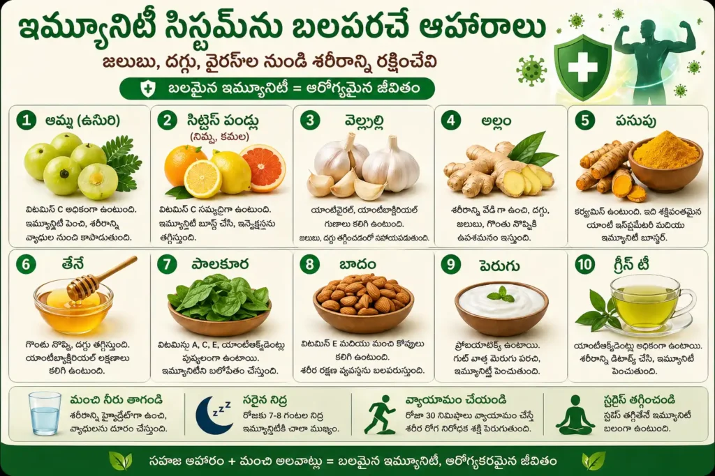 జలుబు వెంటనే తగ్గించే చిట్కాలు మరియు నివారణ కోసం ఇమ్యూనిటీ పెంచే ఆహారాలు – ఉసిరి, నిమ్మకాయ, అల్లం, వెల్లుల్లి, తేనె, పసుపు వంటి పదార్థాలు తెలుగు ఇన్ఫోగ్రాఫిక్