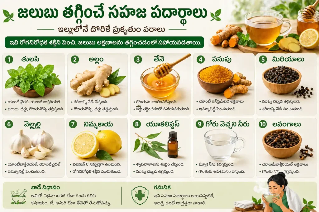 జలుబు వెంటనే తగ్గించే చిట్కాలు కోసం ఉపయోగించే సహజ పదార్థాలు – తులసి, అల్లం, తేనె, పసుపు, మిరియాలు, వెల్లుల్లి వంటి హోం రెమెడీస్ ఇంగ్రిడియెంట్స్ తెలుగు ఇన్ఫోగ్రాఫిక్