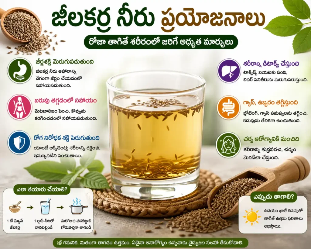 జీలకర్ర నీరు ప్రయోజనాలు infographic showing jeera water benefits for digestion, weight loss, immunity, and detox