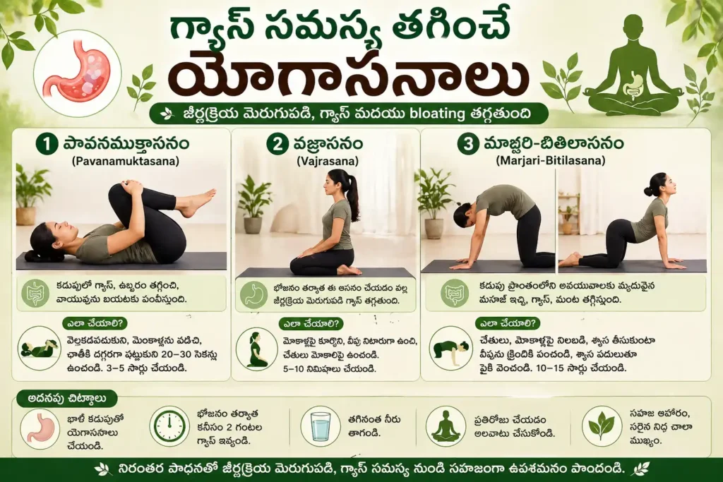 గ్యాస్ సమస్యకు యోగా ఆసనాలు - పావనముక్తాసనం, వజ్రాసనం మరియు క్యాట్ కౌ ఆసనాలతో గ్యాస్ మరియు bloating తగ్గించే విధానం